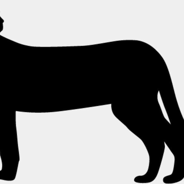 Big Cat  Tiger  Lion  Panther 25 Thumbnail