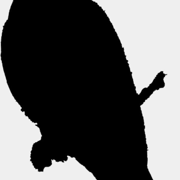 Parrot Silhouette6 Thumbnail
