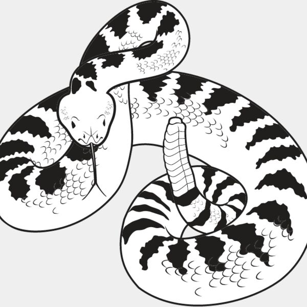 Rattlesnake Thumbnail