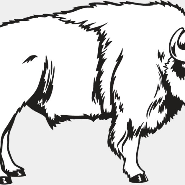 Bison Thumbnail