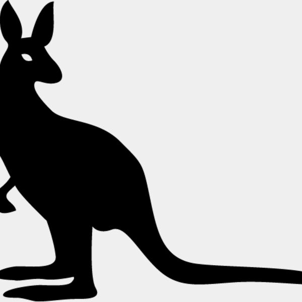 Kangaroo2 Thumbnail