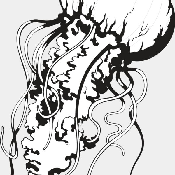 Jellyfish1 Thumbnail