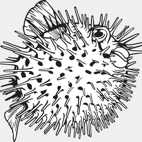 Pufferfish Thumbnail