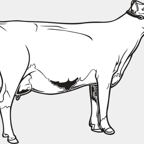Cow4 Thumbnail