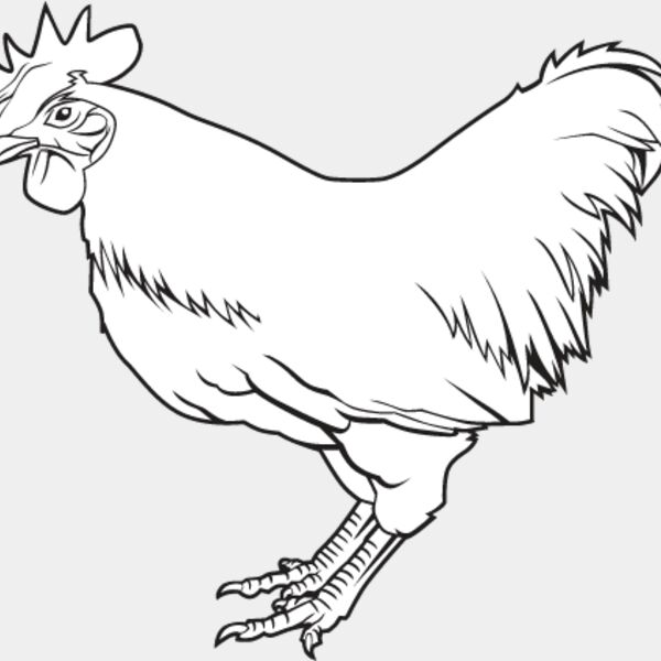 Chicken2 Thumbnail