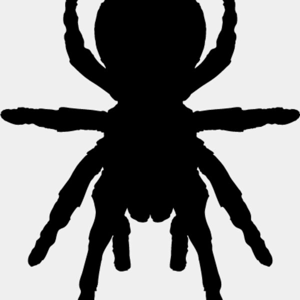 Spider Silhouette16 Thumbnail