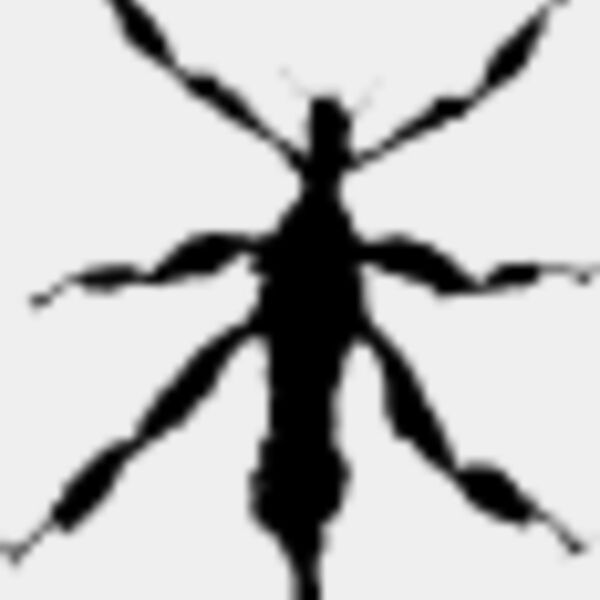 Walking Insect11 Thumbnail