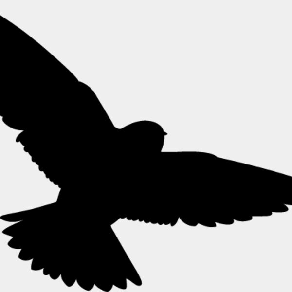 Bird Silhouette11 Thumbnail