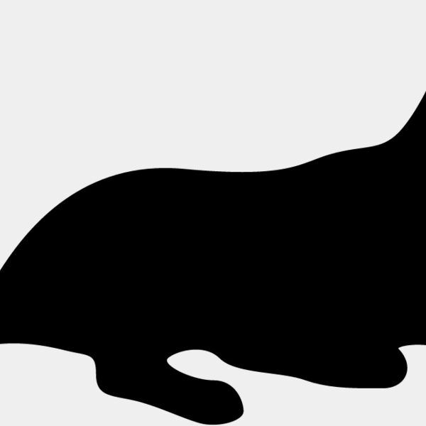 Big Cat  Tiger  Lion  Panther 7 Thumbnail