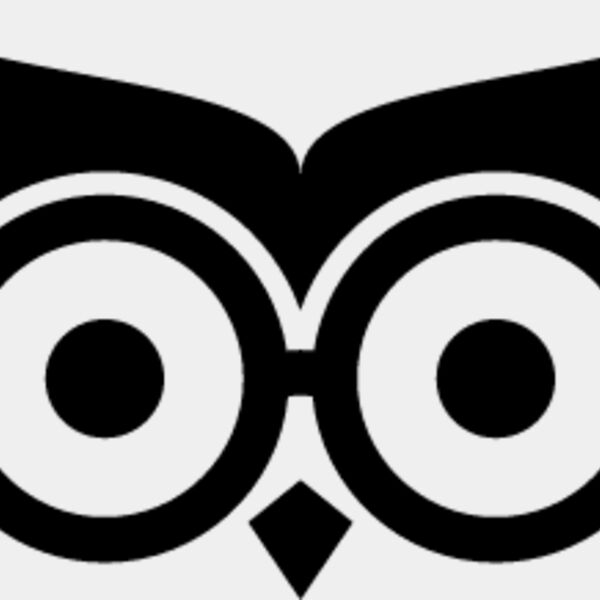 Smart Owl1 Thumbnail