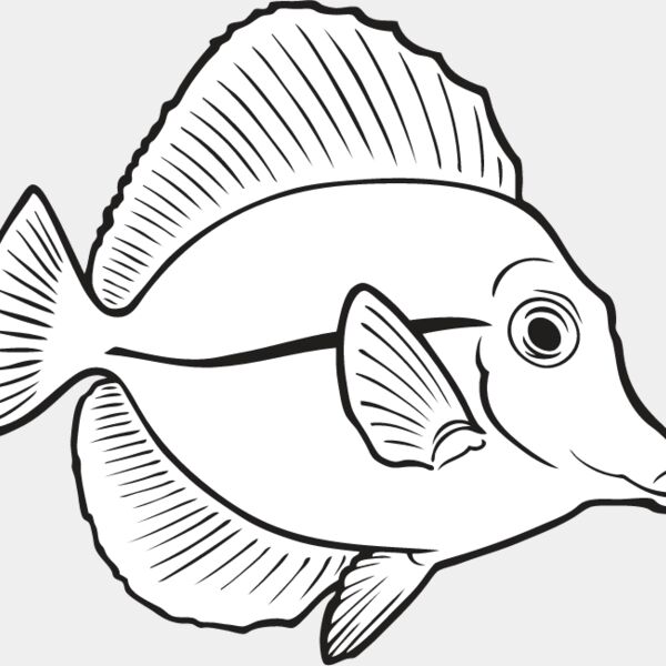 Tang Fish Thumbnail