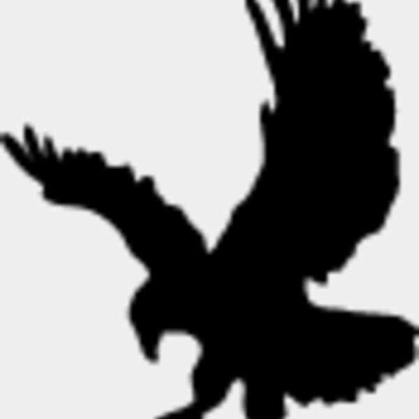 Flying Eagle Silhouette6 Thumbnail