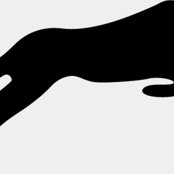 Big Cat  Tiger  Lion  Panther 21 Thumbnail