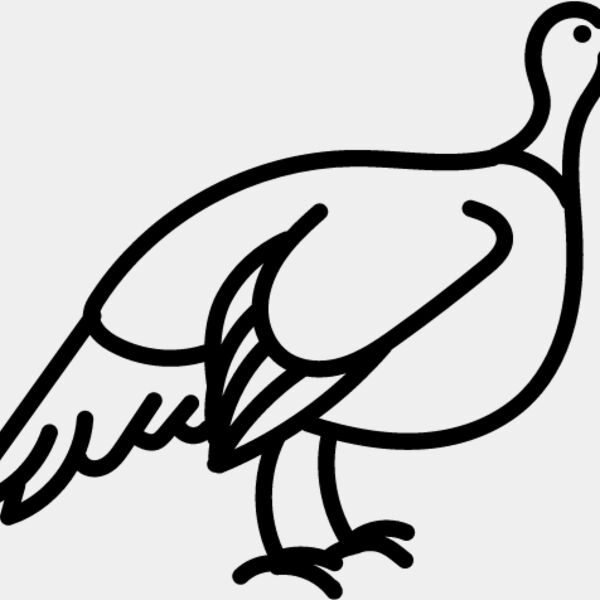 Wild Turkey Line 2 Thumbnail