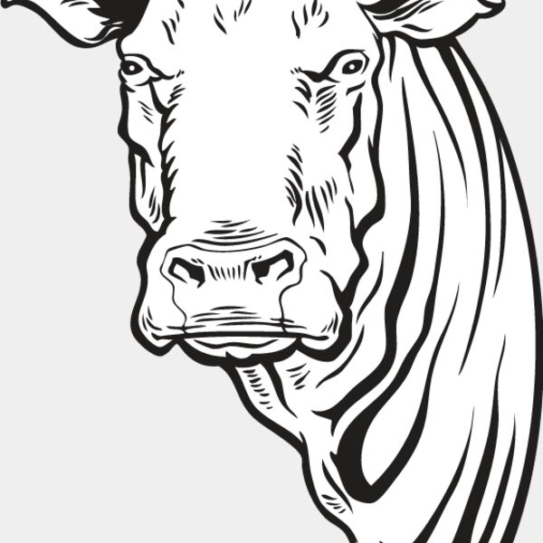 Cow2 Thumbnail