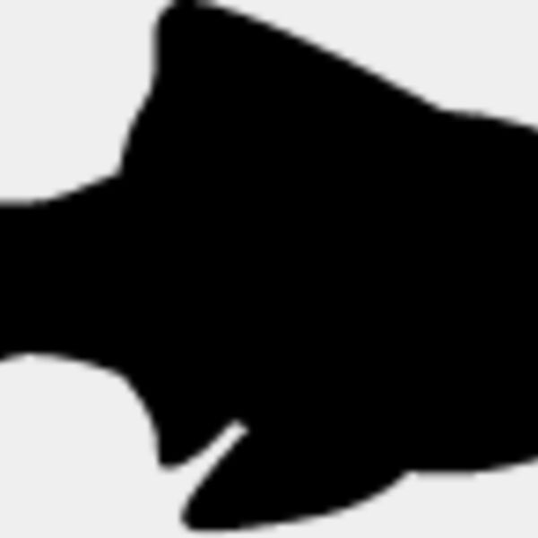 Fish Silhouette5 Thumbnail