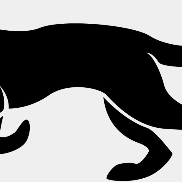 Big Cat  Tiger  Lion  Panther 10 Thumbnail