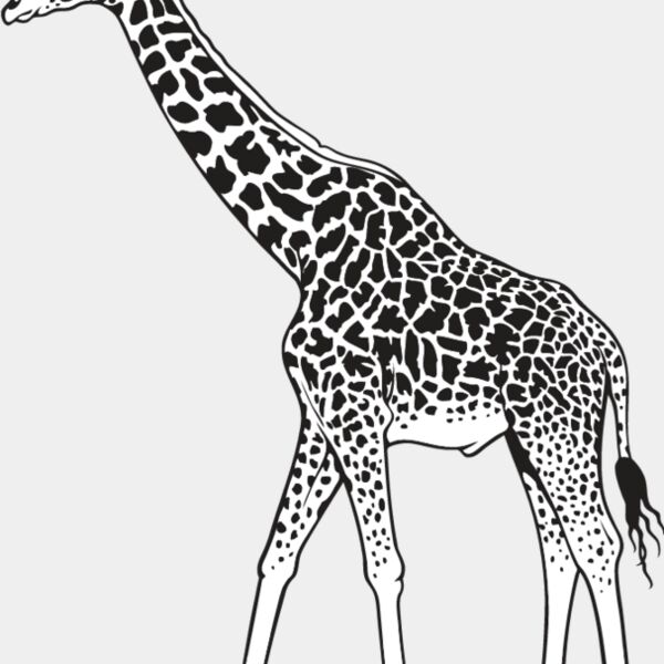Giraffe1 Thumbnail