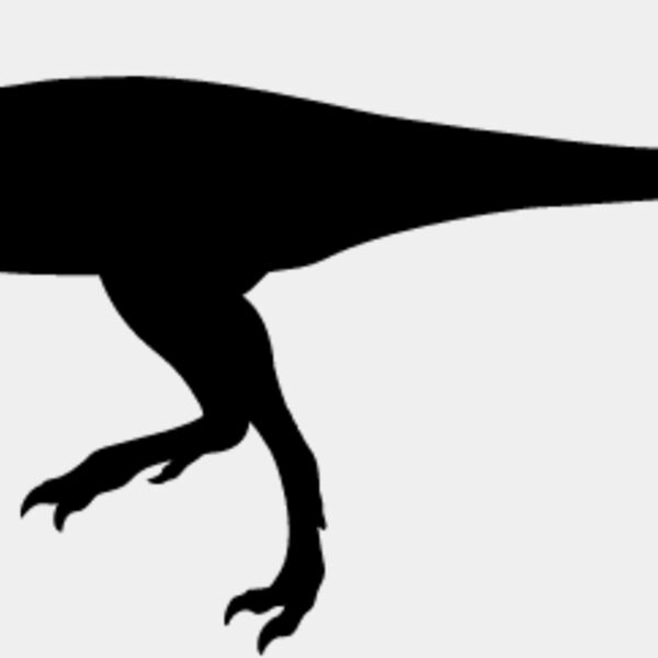 Velociraptor4 Thumbnail