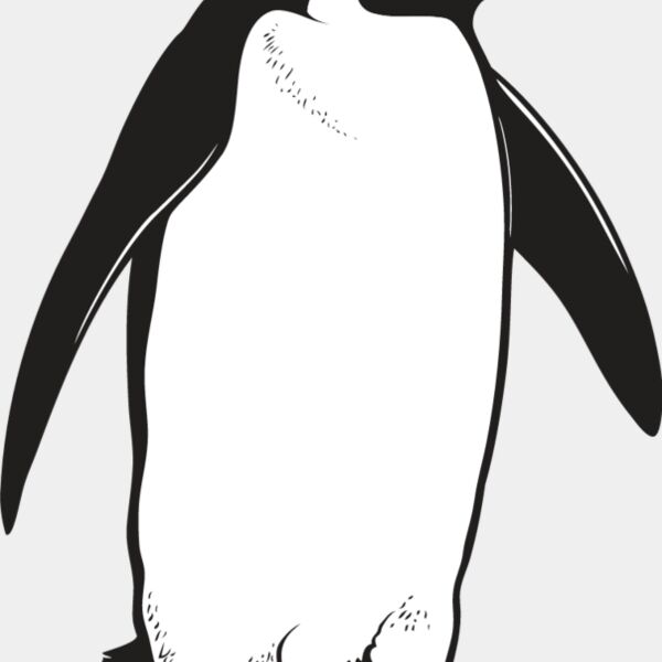 Penguin3 Thumbnail