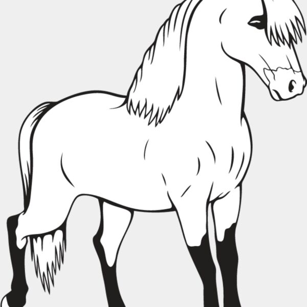 Miniature Horse2 Thumbnail