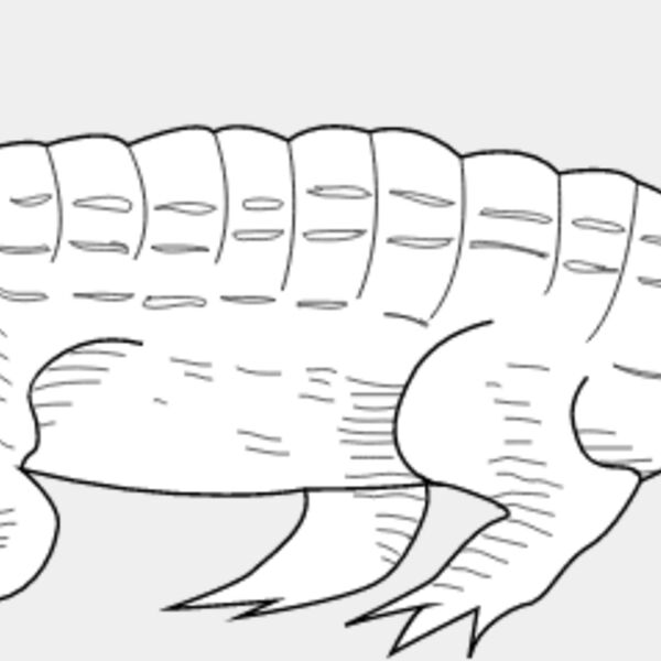 Crocodile3 Thumbnail