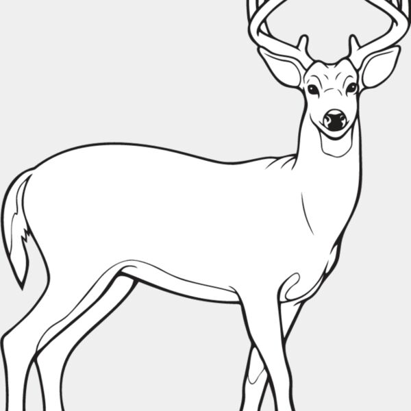 Deer4 Thumbnail