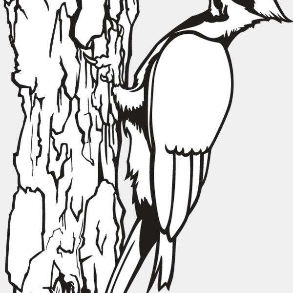 Woodpecker Thumbnail