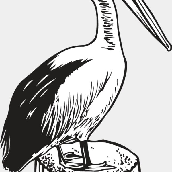 Pelican Thumbnail