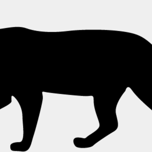 Big Cat  Tiger  Lion  Panther 5 Thumbnail