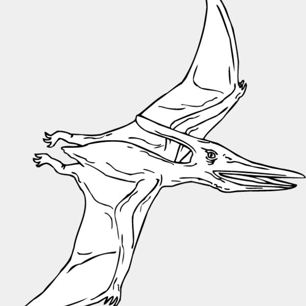 Pteradactyl2 Thumbnail