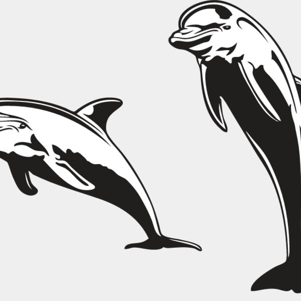 Dolphins Thumbnail