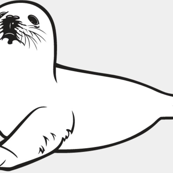 Baby Seal1 Thumbnail