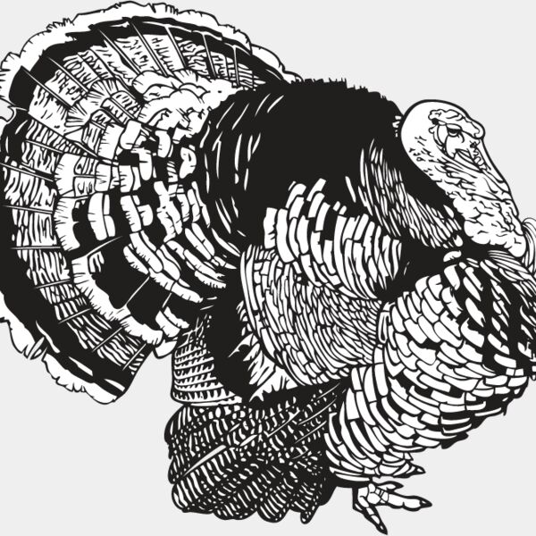 Wild Turkey10 Thumbnail