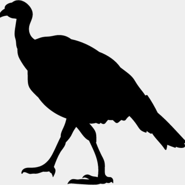 Wild Turkey8 Thumbnail