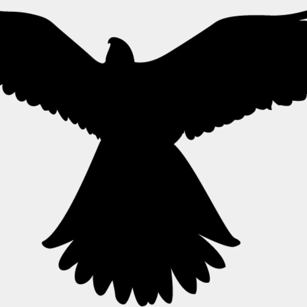 Bird Silhouette12 Thumbnail