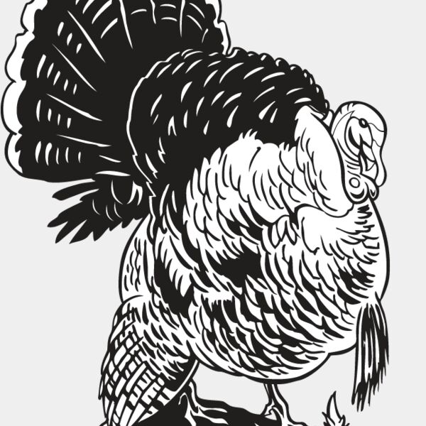 Wild Turkey9 Thumbnail