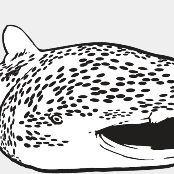 Whale Shark Thumbnail