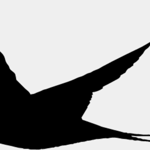 Bird Silhouette4 Thumbnail