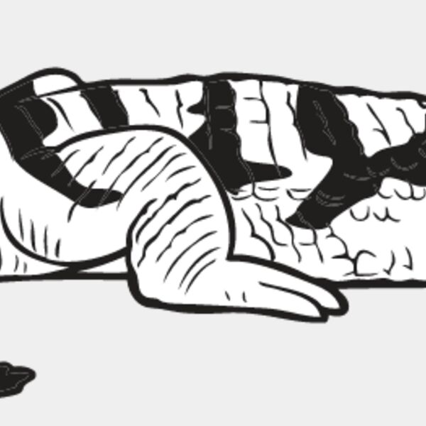 Crocodile1 Thumbnail