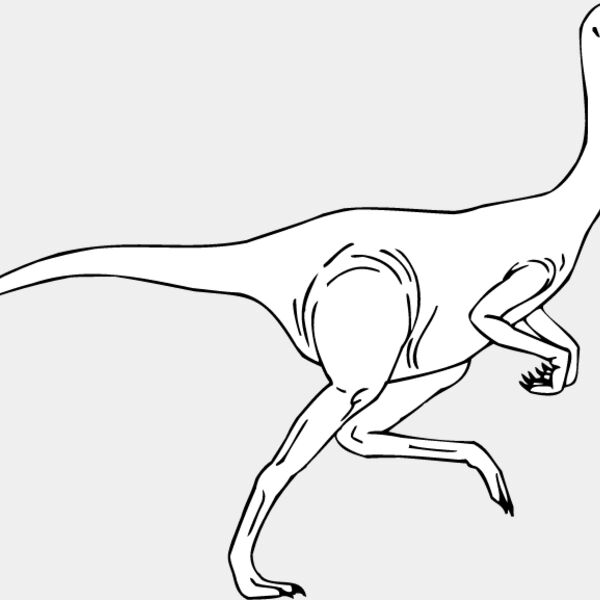 Ornithomimosaurus Thumbnail