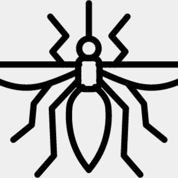 Flying Insect line 5 Thumbnail