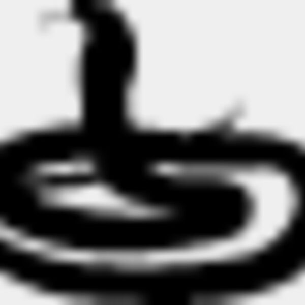 Snake Silhouette13 Thumbnail