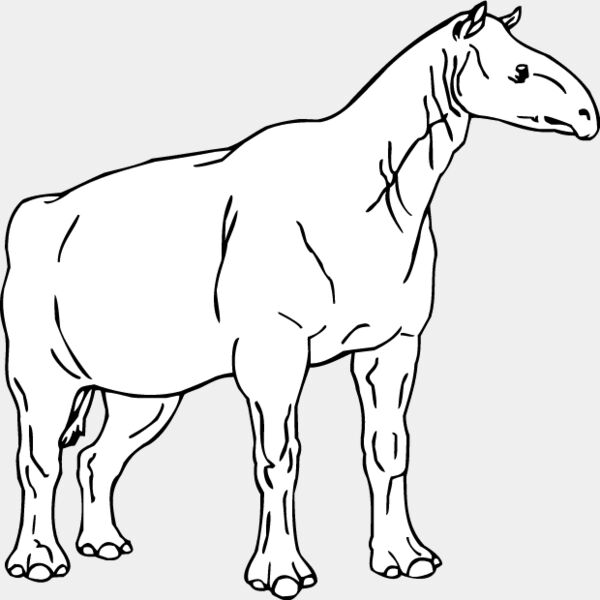 Indricotheriinae Thumbnail