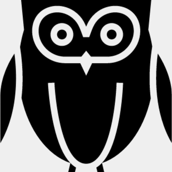 Cartoon Owl4 Thumbnail