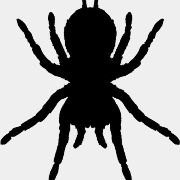 Spider Silhouette14 Thumbnail