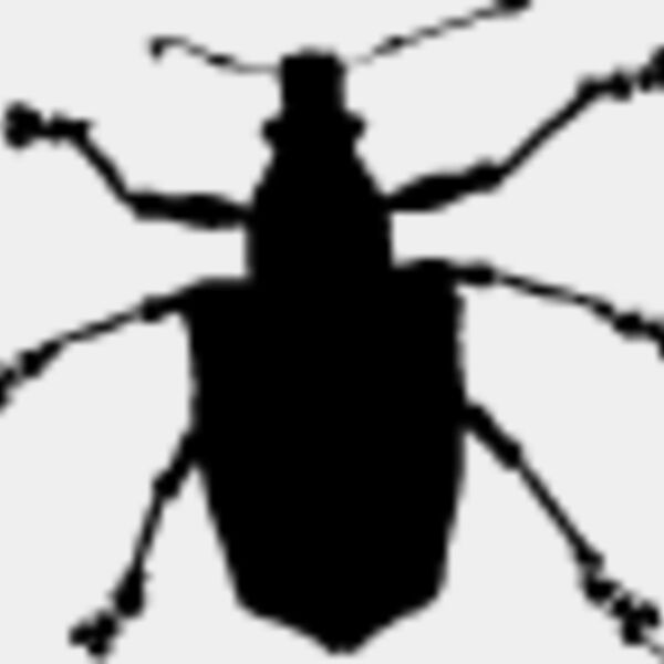 Walking Insect10 Thumbnail