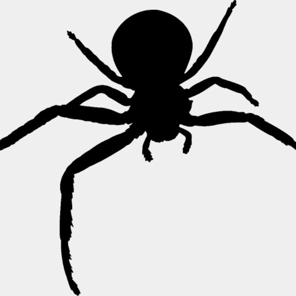 Spider Silhouette9 Thumbnail