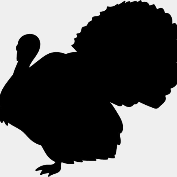 Wild Turkey6 Thumbnail