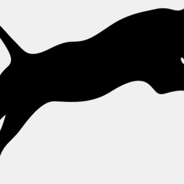 Big Cat  Tiger  Lion  Panther 6 Thumbnail